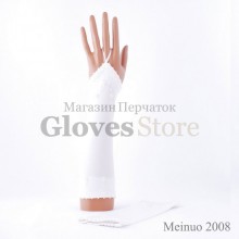 Meinuo 2008