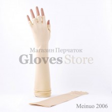 Meinuo 2006