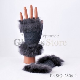 Baisiqi 2806-4