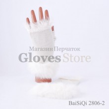 Baisiqi 2806-2