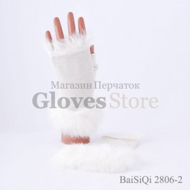 Baisiqi 2806-2