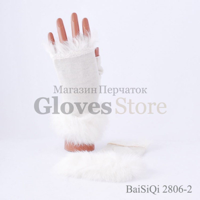 Baisiqi 2806-2