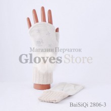 Baisiqi 2806-3