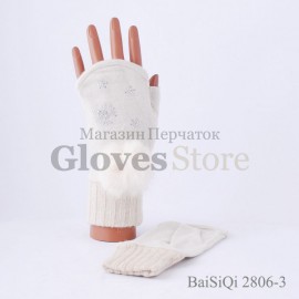 Baisiqi 2806-3