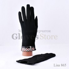 Lisa 865