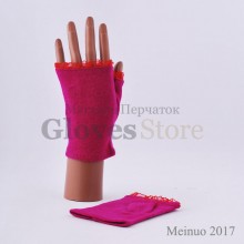 Meinuo 2017