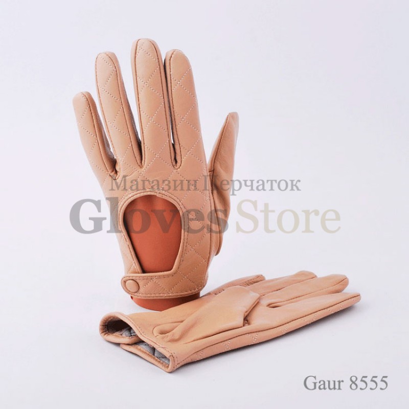 Gaur 8555