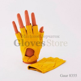 Gaur 8355