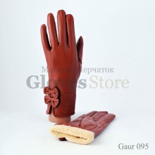 Gaur 095