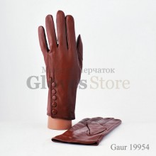 Gaur 19954