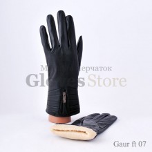 Gaur FT07