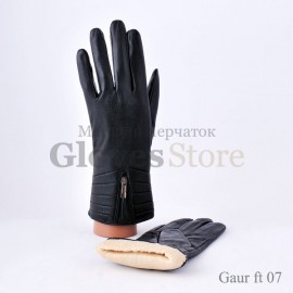 Gaur FT07