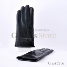 Grant 2806