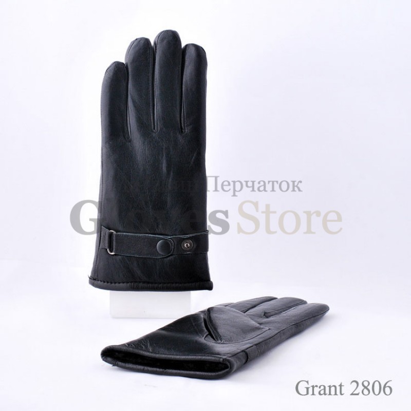 Grant 2806