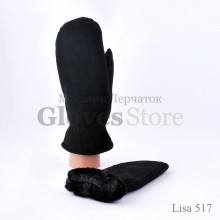 Lisa 517