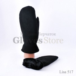 Lisa 517
