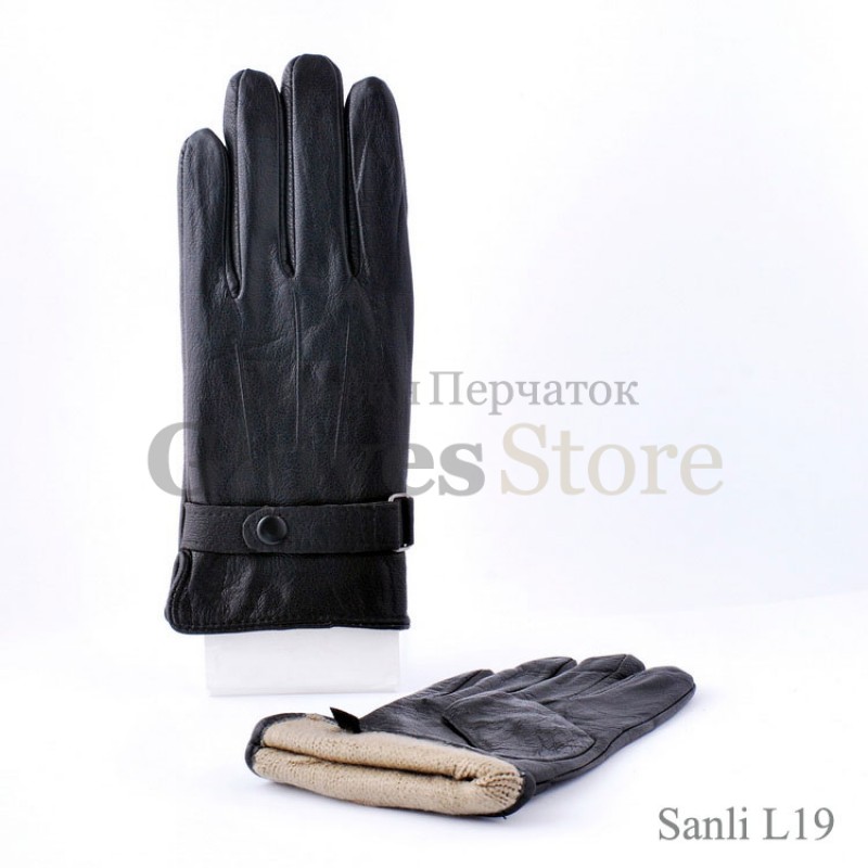 SanLi L19