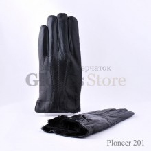 Ploneer 201
