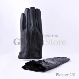 Ploneer 201