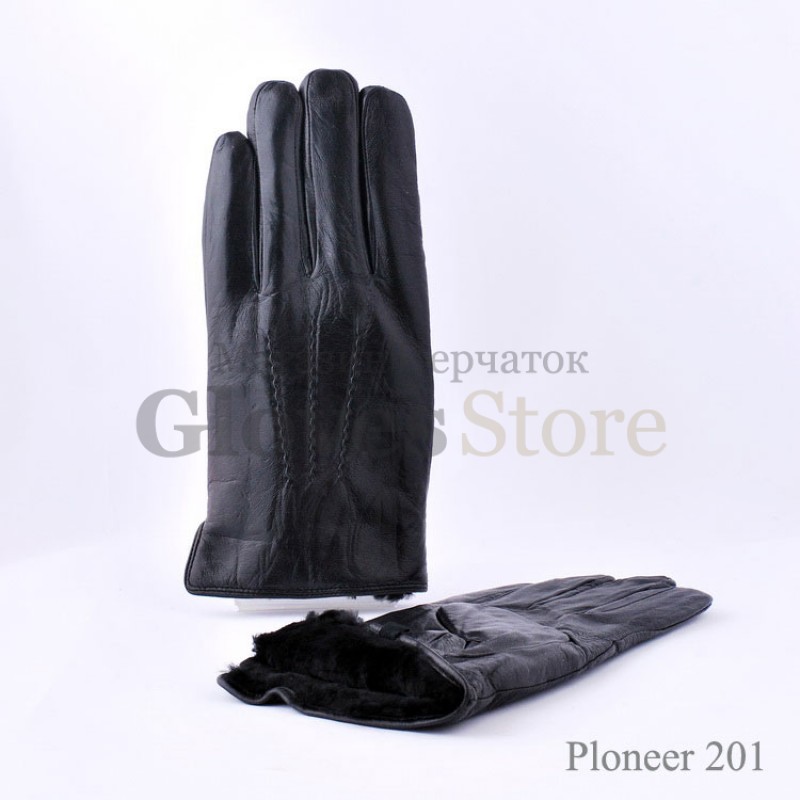 Ploneer 201