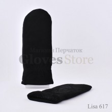 Lisa 617