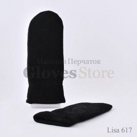 Lisa 617