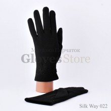 Silk way 022