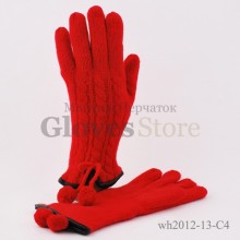 Haieryi WH2012-13
