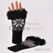 Haieryi WH2012-11