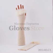 Haieryi 2012-02