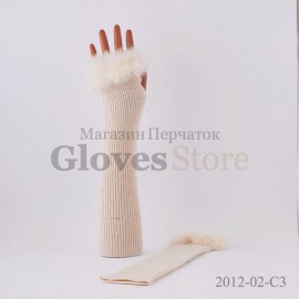 Haieryi 2012-02
