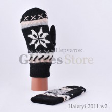 Haieryi 2011-W2