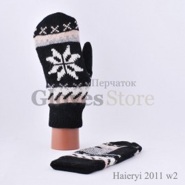 Haieryi 2011-W2