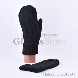Haieryi WH2012-31